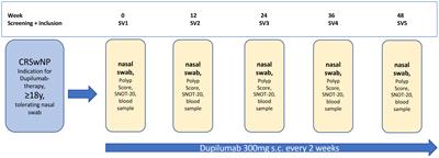 Differential nasal swab cytology represents a valuable tool for therapy monitoring but not prediction of therapy response in chronic rhinosinusitis with nasal polyps treated with Dupilumab